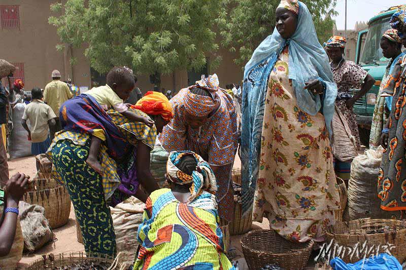 Mud Maps Africa Djenne 3686